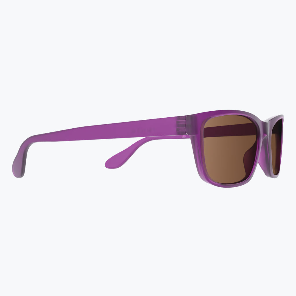 Royal Purple Sunglasses With Brown Tint
